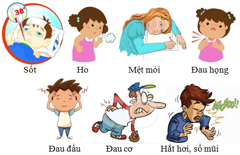 Các biểu hiện của bệnh cúm A/H1N1 
