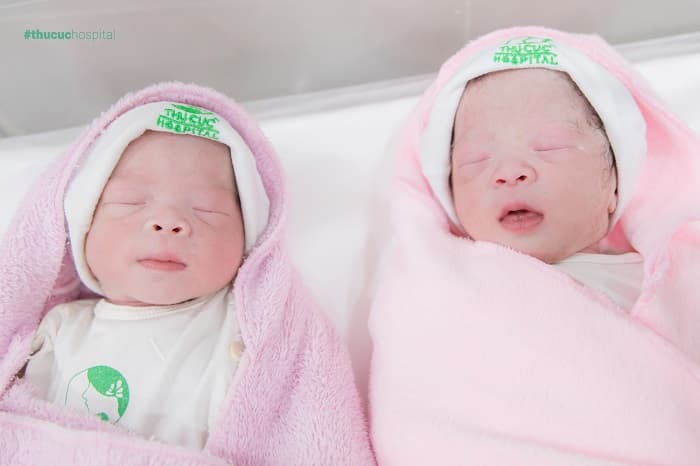 song thai tại thu cúc