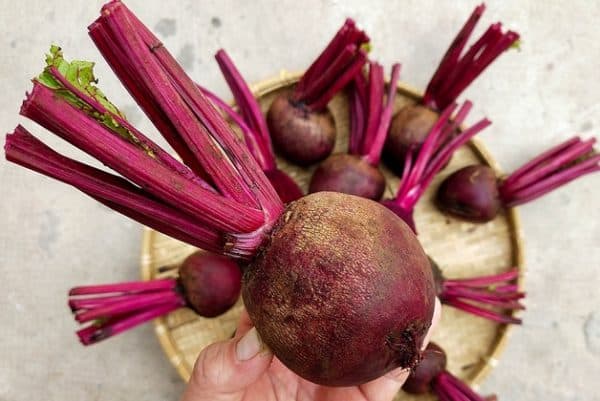 Củ dền là loại rau củ tốt cho sức khỏe