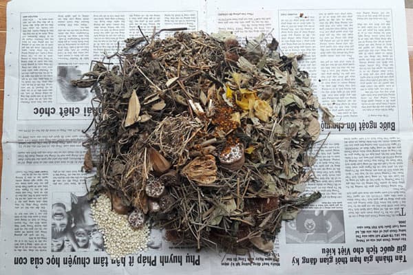 Sử dụng thuốc nam không rõ nguồn gốc và chất lượng có thể khiến tình trạng bệnh trầm trọng hơn và thậm chí gây ra suy thận, suy gan.