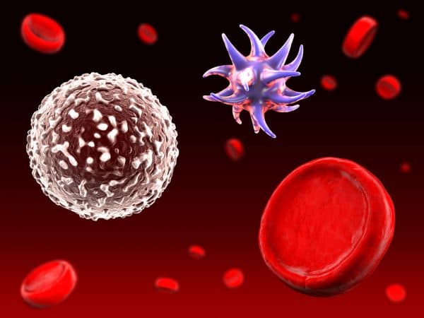 sốc nhiễm khuẩn là gì? 