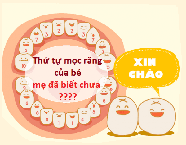 bé chậm mọc răng phải làm sao