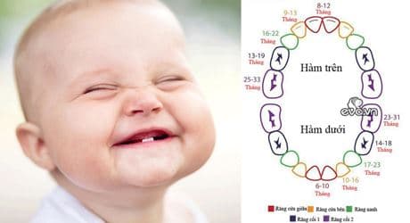 trẻ mọc răng khi nào