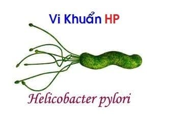 Vi khuẩn HP dễ lây truyền qua ăn uống, hôn, tiếp xúc nước bọt và qua phân