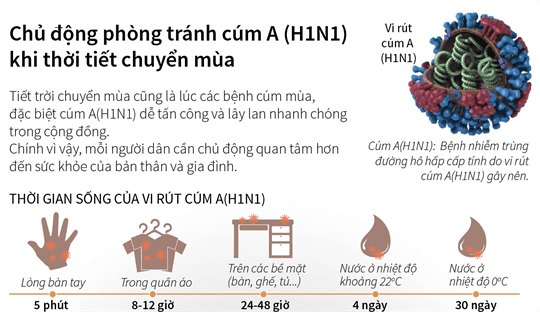 Bệnh cúm A/H1N1 vào mùa