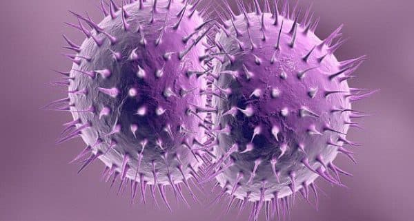 Bệnh lậu là một bệnh rất dễ lây truyền qua đường tình dục do vi khuẩn Neisseria gonorrhea gây ra. 