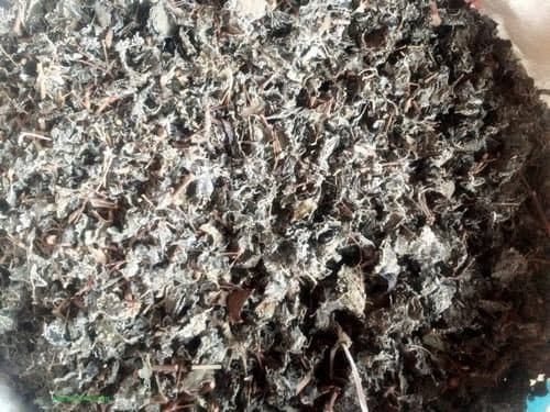 Thực phẩm dễ gây ngộ độc - Ảnh 4