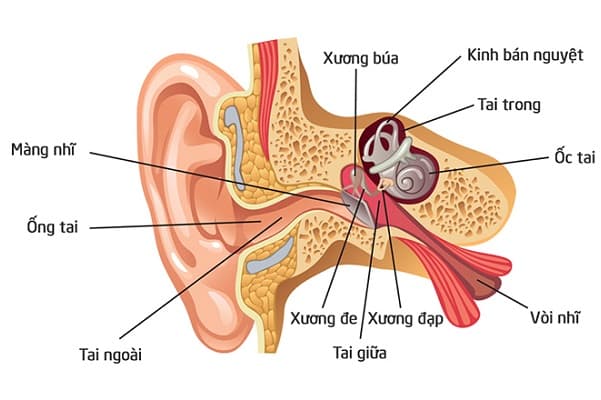 viêm tai giữa thanh dịch ở trẻ em