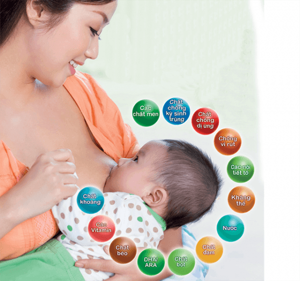 Các chất dinh dưỡng trong sữa mẹ.