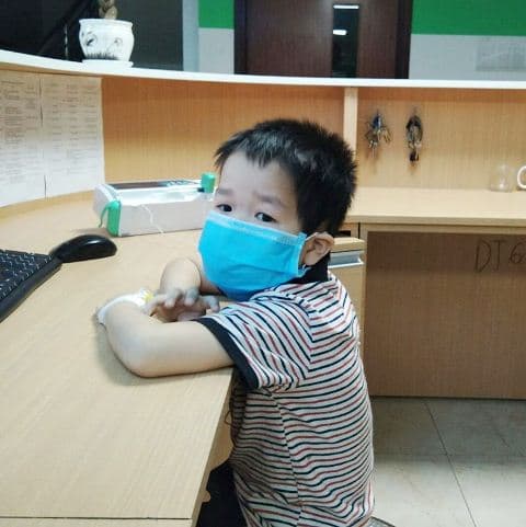 nhiễm giun đũa chó mèo