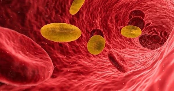 Có bao nhiêu nhóm máu, cách phân loại nhóm máu như thế nào