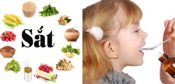 Thiếu máu thiếu sắt có thể bổ sung qua chế độ ăn hàng ngày hoặc thực phẩm bổ sung sắt