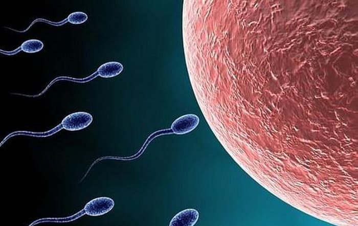 Thụ tinh nhân tạo IUI là phương pháp hỗ trợ sinh sản mang đến tin vui cho nhiều cặp vợ chồng hiếm muộn