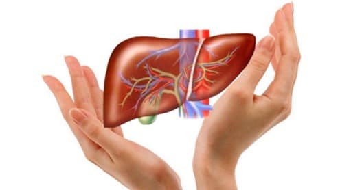 Hãy bảo vệ lá gan của bạn để “xơ gan” không là nỗi lo của chính mình.