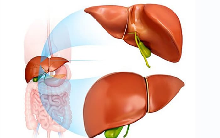 Các dạng viêm gan gặp phải có thể là viêm gan cấp (viêm gan cấp tính) hay viêm gan mạn (viêm gan mạn tính)