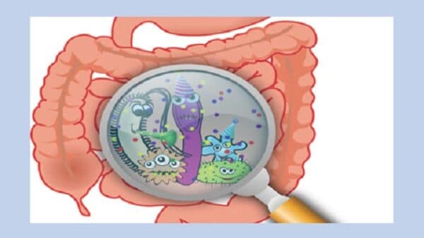 nguyên nhân gây bệnh viêm dạ dày - ruột ở trẻ