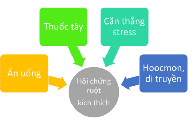 Nguyên nhân chính gây hội chứng ruột kích thích như: stress, di truyền,...