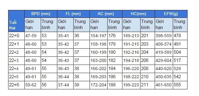 Các chỉ số chuẩn đánh giá phát triển của thai nhi tuần 22