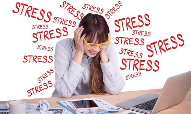 Stress là nguyên nhân chính hàng đầu khiến trí nhớ ở người trẻ tuổi suy giảm 