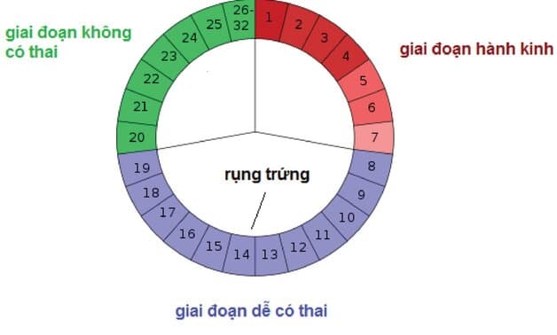 cách tính chu kỳ kinh nguyệt
