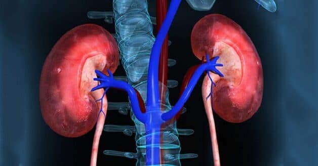 Suy thận độ 1 có hồi phục không 