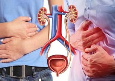 Tháo gỡ thắc mắc viêm đường tiết niệu làm sao hết?