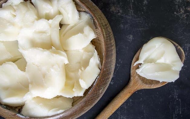 gan nhiễm mớ kiêng mỡ động vật