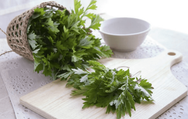 cây ngải cứu là một vị thuốc