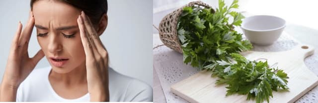Rau ngải cứu chữa rối loạn tiền đình có được không?