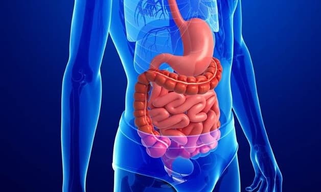 Các bệnh lý tại ống tiêu hóa dẫn đến tình trạng rối loạn tiêu hóa kéo dài ở người lớn