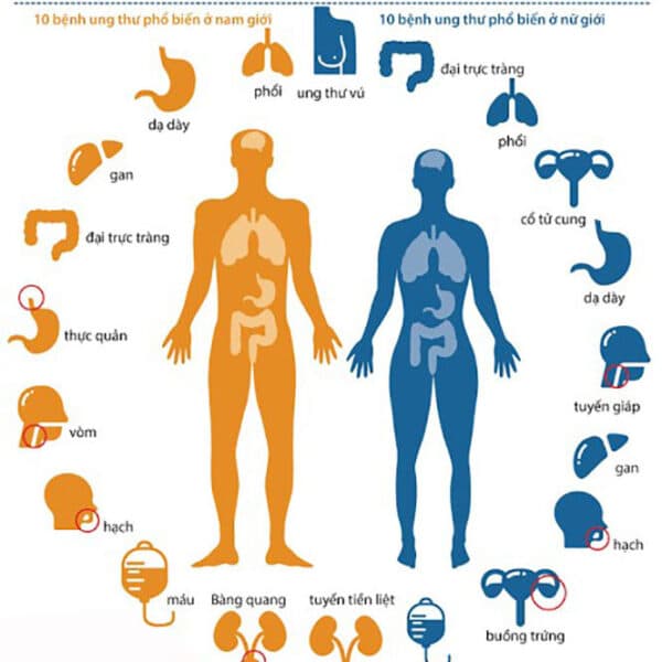 tầm soát ung thư ở bệnh viện nào