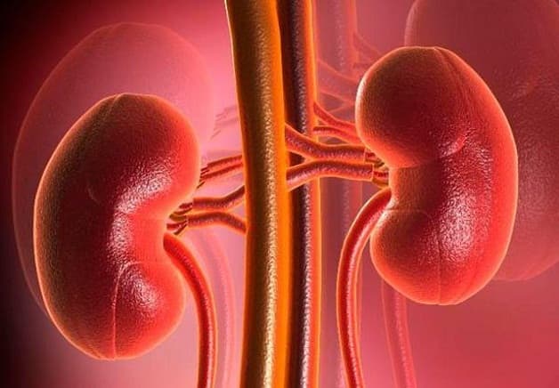 Tán sỏi nội soi ống mềm giúp bảo tồn tối đa chức năng thận