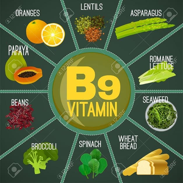  Folate hay Vitamin B9 là một loại vitamin nhóm B mà cơ thể bạn cần để tạo ra các tế bào mới khỏe mạnh