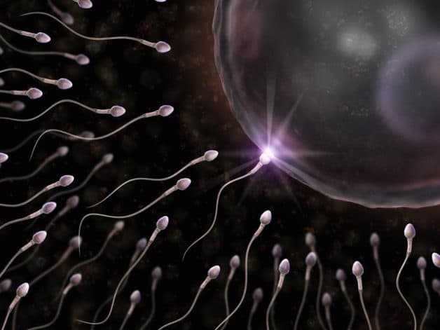 Ở nam giới bình thường, trong 1ml tinh dịch sẽ chứa khoảng 15 triệu tinh trùng. 