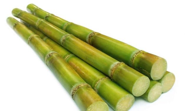 Thay vì ăn mía trực tiếp gây tác động mạnh đến răng đang trong quá trình dịch chuyển, bạn có thể uống nước mía thay thế mà vẫn tận hưởng trọn vẹn hương vi của thực phẩm này