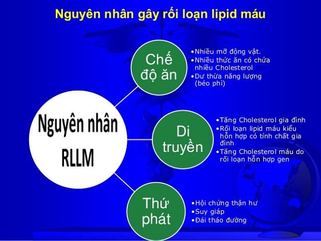 Các nguyên nhân gây rối loạn lipid máu