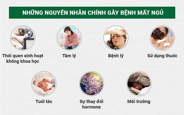 Có rất nhiều nguyên nhân gây mất ngủ kéo dài như: yếu tố bệnh lý, yếu tố môi trường,...
