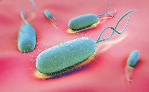 Viêm dạ dày âm tính là gì là câu hỏi nhiều người đặt ra