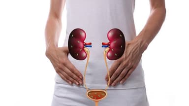 Viêm đường tiết niệu nặng: nguyên nhân, triệu chứng