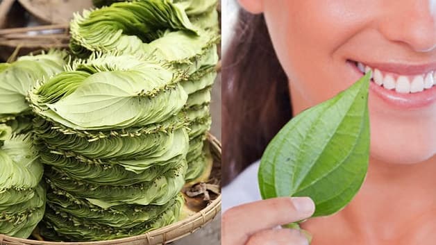 chữa trị viêm lợi