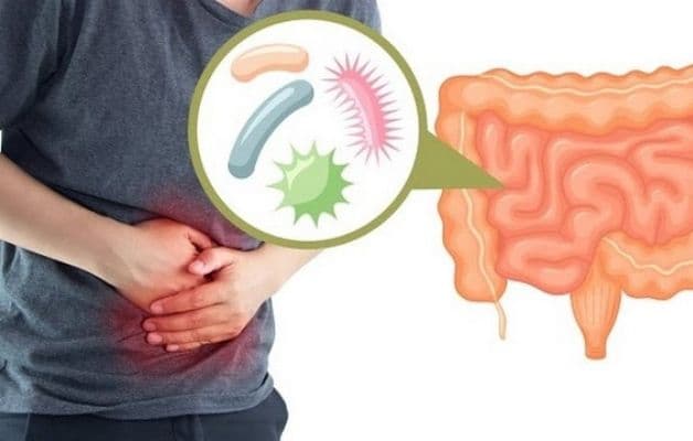 Ăn uống không đảm bảo vệ sinh tạo điều kiện cho các vi sinh vật có hại xâm nhập hệ tiêu hóa