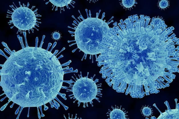 Virus là nguyên nhân chính gây nên sốt siêu vi ở trẻ