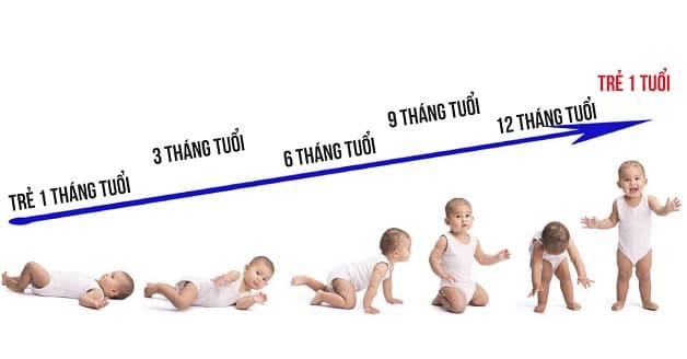 Trong giai đoạn trước 12 tháng tuổi, tốc độ phát triển cơ thể của bé khá nhanh do đó nhu cầu lương thực cần nạp vào cơ thể cũng tăng.