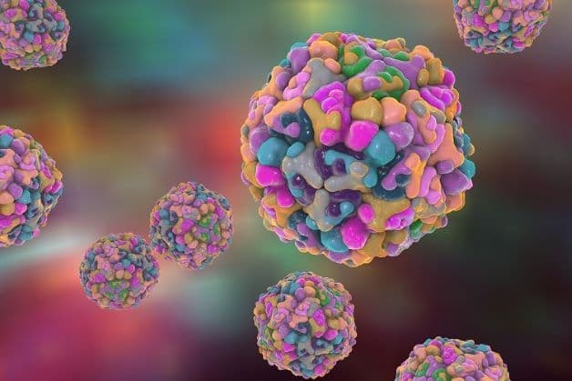 Bệnh tay chân miệng trẻ em chủ yếu do nhóm virus đường ruột có tên là Enterovirus gây nên.