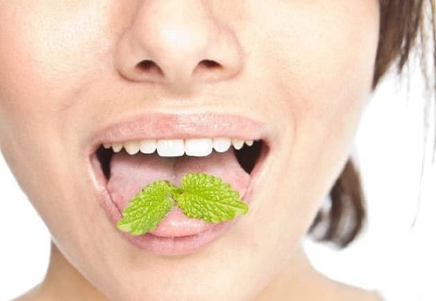 Người bị hôi miệng có thể nhai trực tiếp lá bạc hà để tạo hơi thở thơm mát.