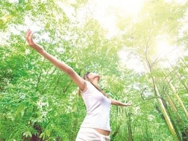 Môi trường trong lành cũng góp phần bảo vệ gan.