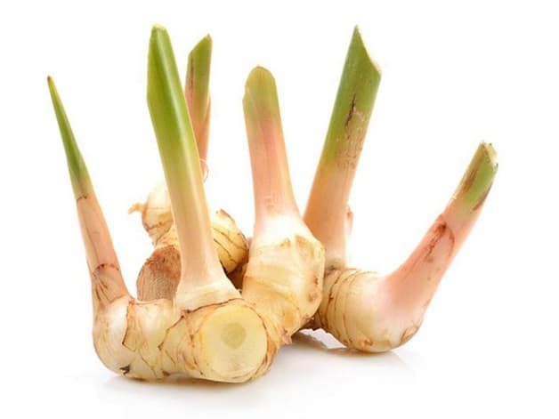 Riềng cũng là vị thuốc dân gian hiệu quả để giảm các triệu chứng của đại tràng co thắt