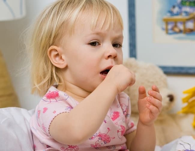 Ho gà là bệnh lý hô hấp do vi khuẩn Bordetella pertussis