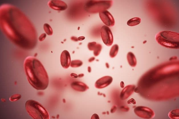 Thiếu máu là tình trạng cơ thể không có đủ hồng cầu.