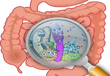 Nhiễm trùng tiêu hóa là gì: triệu chứng và cách phòng bệnh